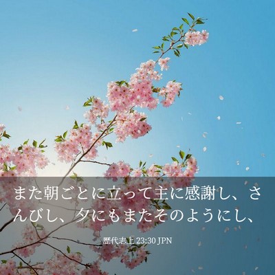 Picture 03 - 歴代志上 23:30 JPN - また朝ごとに立って主に感謝し、さ - Bible Verse Picture