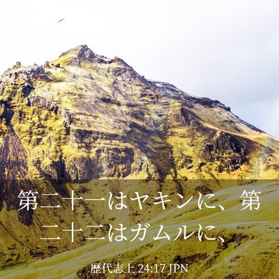 Picture 03 - 歴代志上 24:17 JPN - 第二十一はヤキンに、第二十二はガ - Bible Verse Picture