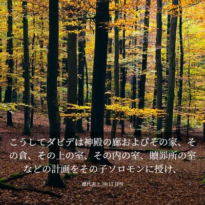 Picture 03 - 歴代志上 28:11 JPN - こうしてダビデは神殿の廊およびそ - Bible Verse Picture