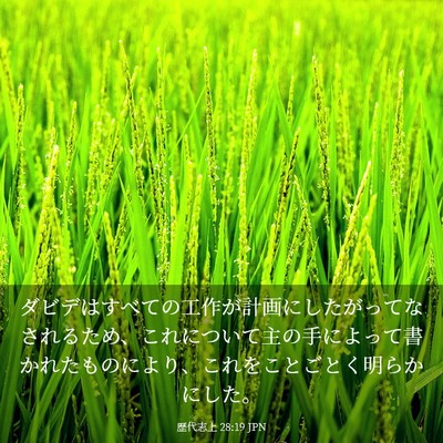 Picture 03 - 歴代志上 28:19 JPN - ダビデはすべての工作が計画にした - Bible Verse Picture
