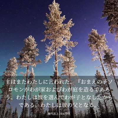 Picture 03 - 歴代志上 28:6 JPN - 主はまたわたしに言われた、『おま - Bible Verse Picture