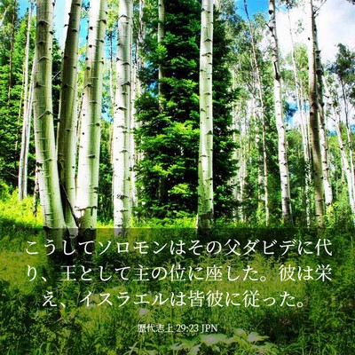 Picture 03 - 歴代志上 29:23 JPN - こうしてソロモンはその父ダビデに - Bible Verse Picture