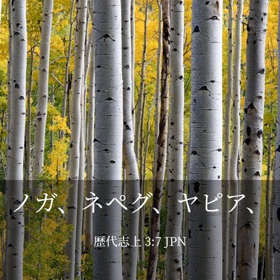 Picture 03 - 歴代志上 3:7 JPN - ノガ、ネペグ、ヤピア、 - Bible Verse Picture