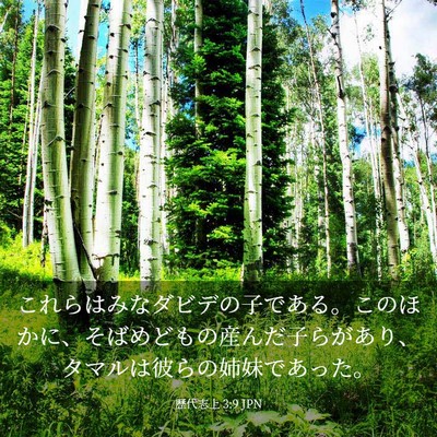 Picture 03 - 歴代志上 3:9 JPN - これらはみなダビデの子である。こ - Bible Verse Picture