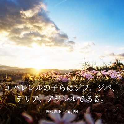 Picture 03 - 歴代志上 4:16 JPN - エハレレルの子らはジフ、ジバ、テ - Bible Verse Picture