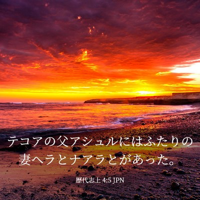 Picture 03 - 歴代志上 4:5 JPN - テコアの父アシュルにはふたりの妻 - Bible Verse Picture