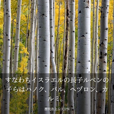 Picture 03 - 歴代志上 5:3 JPN - すなわちイスラエルの長子ルベンの - Bible Verse Picture