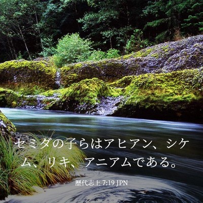 Picture 03 - 歴代志上 7:19 JPN - セミダの子らはアヒアン、シケム、 - Bible Verse Picture