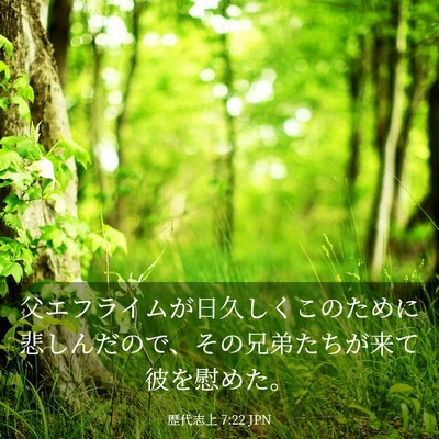 Picture 03 - 歴代志上 7:22 JPN - 父エフライムが日久しくこのために - Bible Verse Picture