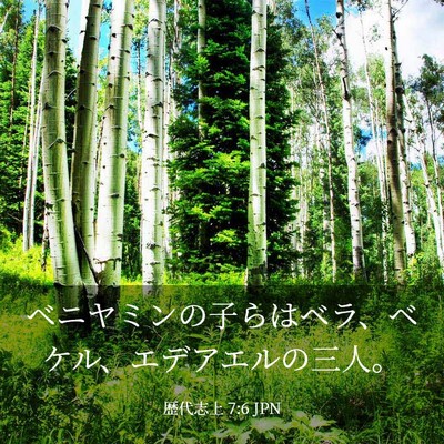 Picture 03 - 歴代志上 7:6 JPN - ベニヤミンの子らはベラ、ベケル、 - Bible Verse Picture