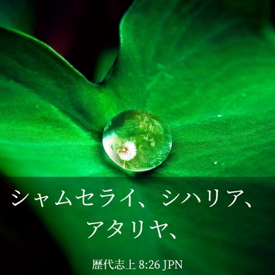 Picture 03 - 歴代志上 8:26 JPN - シャムセライ、シハリア、アタリヤ - Bible Verse Picture