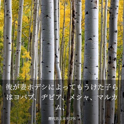Picture 03 - 歴代志上 8:9 JPN - 彼が妻ホデシによってもうけた子ら - Bible Verse Picture