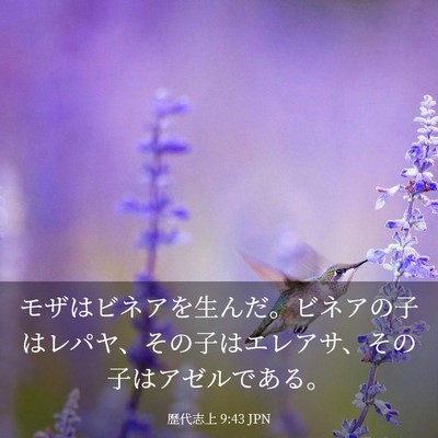Picture 03 - 歴代志上 9:43 JPN - モザはビネアを生んだ。ビネアの子 - Bible Verse Picture
