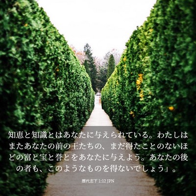Picture 03 - 歴代志下 1:12 JPN - 知恵と知識とはあなたに与えられて - Bible Verse Picture