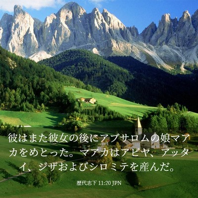 Picture 03 - 歴代志下 11:20 JPN - 彼はまた彼女の後にアブサロムの娘 - Bible Verse Picture