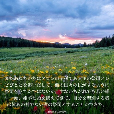 Picture 03 - 歴代志下 13:9 JPN - またあなたがたはアロンの子孫であ - Bible Verse Picture
