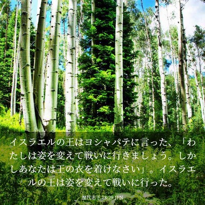 Picture 03 - 歴代志下 18:29 JPN - イスラエルの王はヨシャパテに言っ - Bible Verse Picture