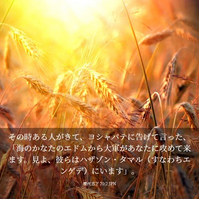 Picture 03 - 歴代志下 20:2 JPN - その時ある人がきて、ヨシャパテに - Bible Verse Picture