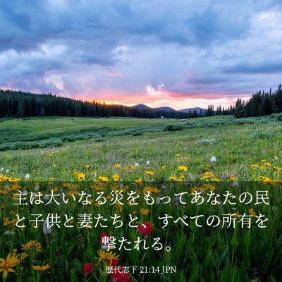 Picture 03 - 歴代志下 21:14 JPN - 主は大いなる災をもってあなたの民 - Bible Verse Picture