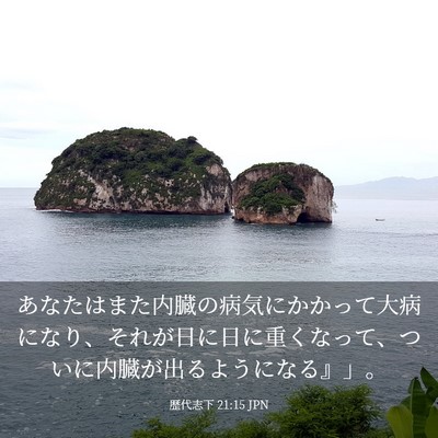 Picture 03 - 歴代志下 21:15 JPN - あなたはまた内臓の病気にかかって - Bible Verse Picture