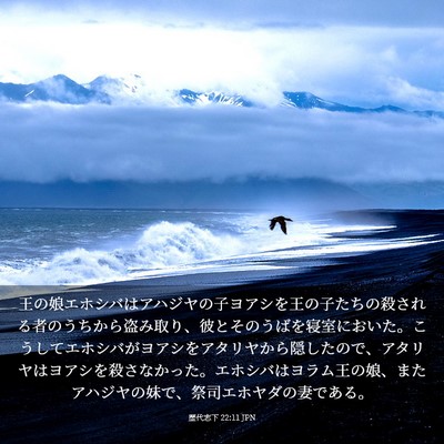 Picture 03 - 歴代志下 22:11 JPN - 王の娘エホシバはアハジヤの子ヨア - Bible Verse Picture
