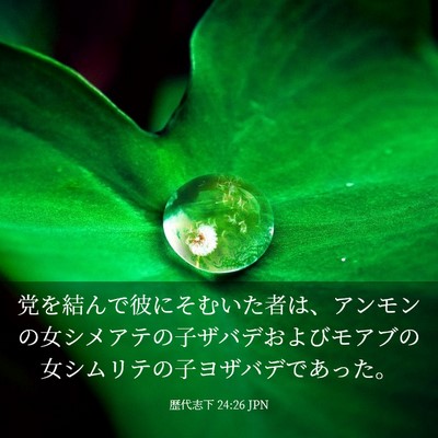 Picture 03 - 歴代志下 24:26 JPN - 党を結んで彼にそむいた者は、アン - Bible Verse Picture