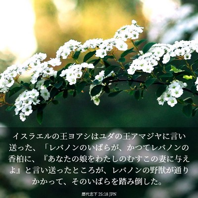 Picture 03 - 歴代志下 25:18 JPN - イスラエルの王ヨアシはユダの王ア - Bible Verse Picture