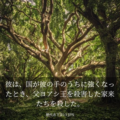 Picture 03 - 歴代志下 25:3 JPN - 彼は、国が彼の手のうちに強くなっ - Bible Verse Picture