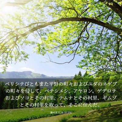 Picture 03 - 歴代志下 28:18 JPN - ペリシテびともまた平野の町々およ - Bible Verse Picture