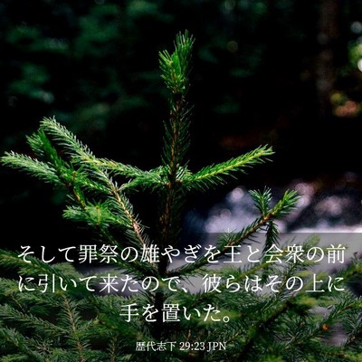 Picture 03 - 歴代志下 29:23 JPN - そして罪祭の雄やぎを王と会衆の前 - Bible Verse Picture