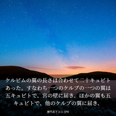 Picture 03 - 歴代志下 3:11 JPN - ケルビムの翼の長さは合わせて二十 - Bible Verse Picture
