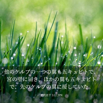 Picture 03 - 歴代志下 3:12 JPN - 他のケルブの一つの翼も五キュビト - Bible Verse Picture