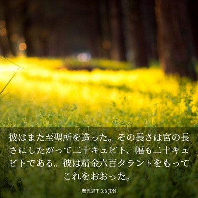 Picture 03 - 歴代志下 3:8 JPN - 彼はまた至聖所を造った。その長さ - Bible Verse Picture