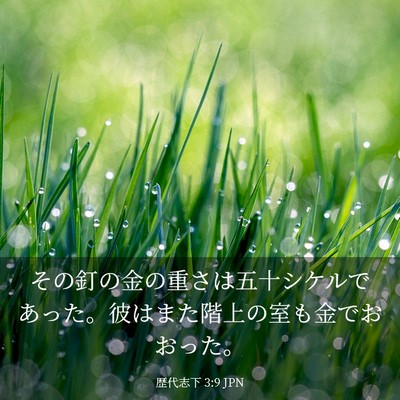 Picture 03 - 歴代志下 3:9 JPN - その釘の金の重さは五十シケルであ - Bible Verse Picture