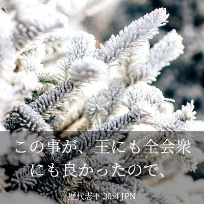 Picture 03 - 歴代志下 30:4 JPN - この事が、王にも全会衆にも良かっ - Bible Verse Picture