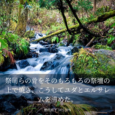 Picture 03 - 歴代志下 34:5 JPN - 祭司らの骨をそのもろもろの祭壇の - Bible Verse Picture