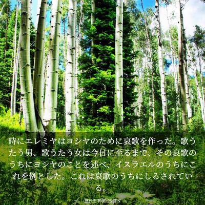 Picture 03 - 歴代志下 35:25 JPN - 時にエレミヤはヨシヤのために哀歌 - Bible Verse Picture