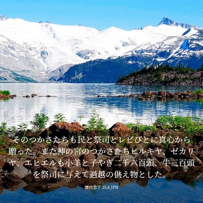Picture 03 - 歴代志下 35:8 JPN - そのつかさたちも民と祭司とレビび - Bible Verse Picture