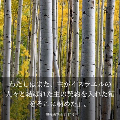 Picture 03 - 歴代志下 6:11 JPN - わたしはまた、主がイスラエルの人 - Bible Verse Picture