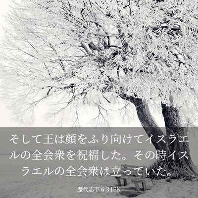 Picture 03 - 歴代志下 6:3 JPN - そして王は顔をふり向けてイスラエ - Bible Verse Picture