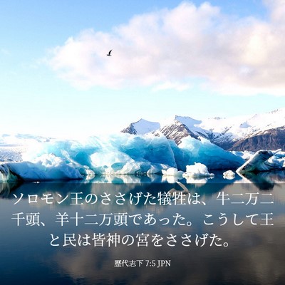 Picture 03 - 歴代志下 7:5 JPN - ソロモン王のささげた犠牲は、牛二 - Bible Verse Picture