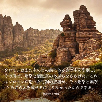 Picture 03 - 歴代志下 7:7 JPN - ソロモンはまた主の宮の前にある庭 - Bible Verse Picture