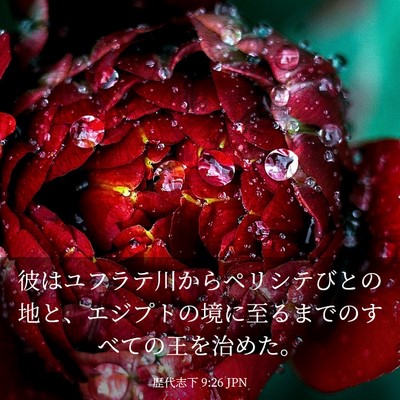 Picture 03 - 歴代志下 9:26 JPN - 彼はユフラテ川からペリシテびとの - Bible Verse Picture