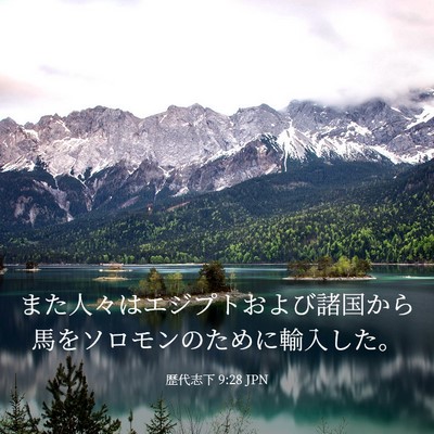Picture 03 - 歴代志下 9:28 JPN - また人々はエジプトおよび諸国から - Bible Verse Picture