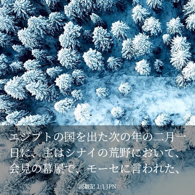 Picture 03 - 民数記 1:1 JPN - エジプトの国を出た次の年の二月一 - Bible Verse Picture