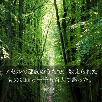 Picture 03 - 民数記 1:41 JPN - アセルの部族のうちで、数えられた - Bible Verse Picture