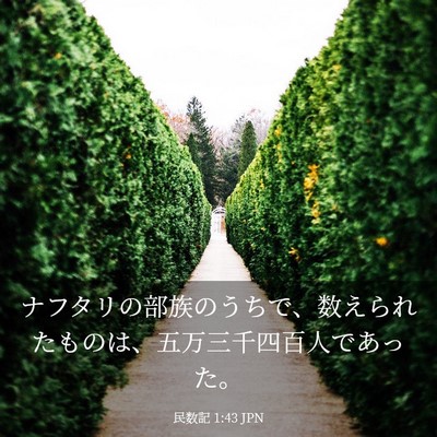 Picture 03 - 民数記 1:43 JPN - ナフタリの部族のうちで、数えられ - Bible Verse Picture