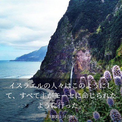 Picture 03 - 民数記 1:54 JPN - イスラエルの人々はこのようにして - Bible Verse Picture