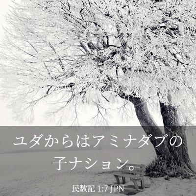 Picture 03 - 民数記 1:7 JPN - ユダからはアミナダブの子ナション - Bible Verse Picture