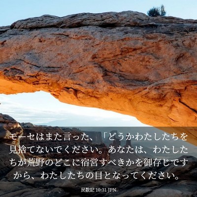Picture 03 - 民数記 10:31 JPN - モーセはまた言った、「どうかわた - Bible Verse Picture